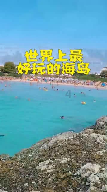 救援小袋熊